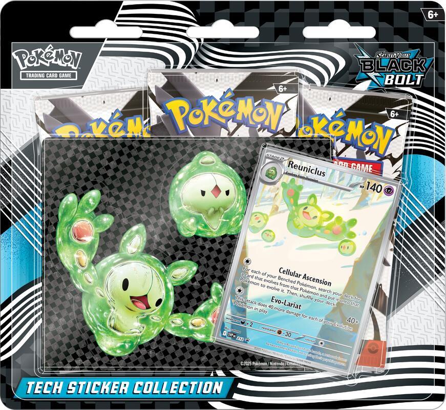 COLLECTION BOX FULGOR NEGRO Fulgor Negro